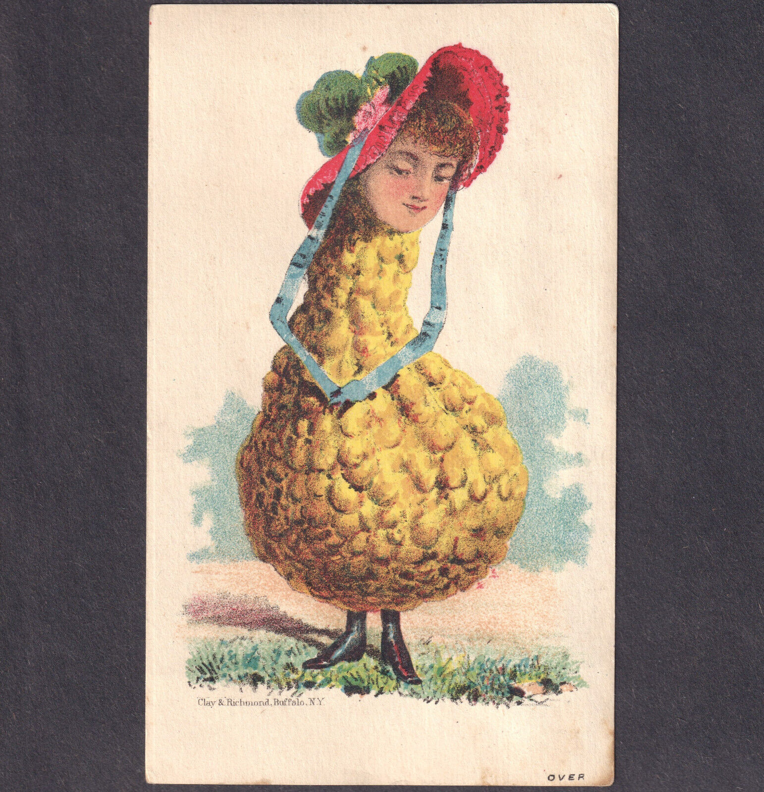 Vegetable Buffalo Fertilizer 1880s NY Squash Veggie Fantasy Victorian Trade Card