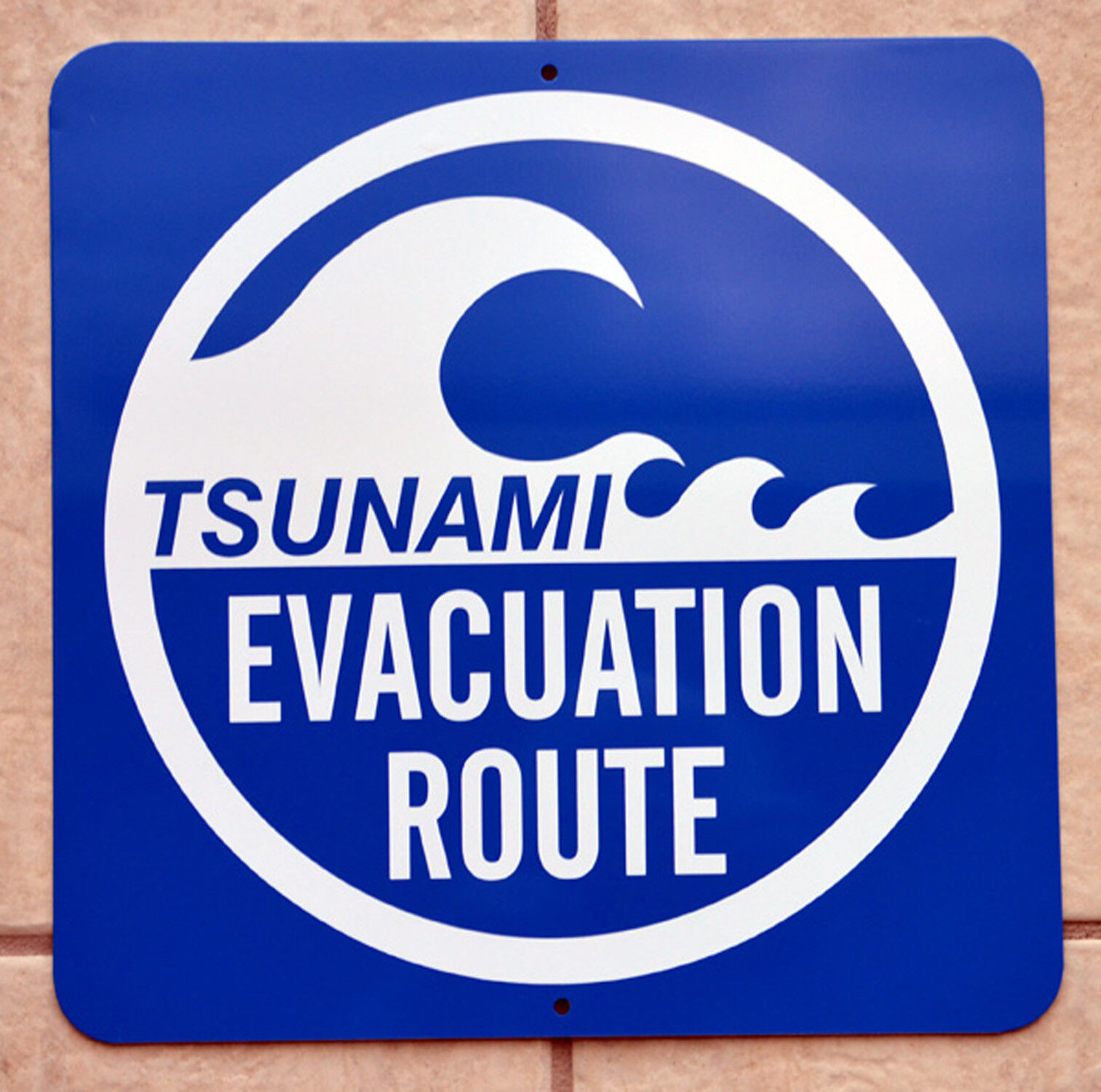 TSUNAMI EVACUATION ROUTE SIGN - FREE PRIORITY SHIPPING 