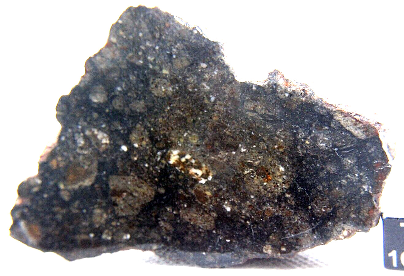 Meteorite NWA 15788 HED ACHONDRITE DIOGENITE POLYMICT BRECCIA METEORITE 75 GRAM