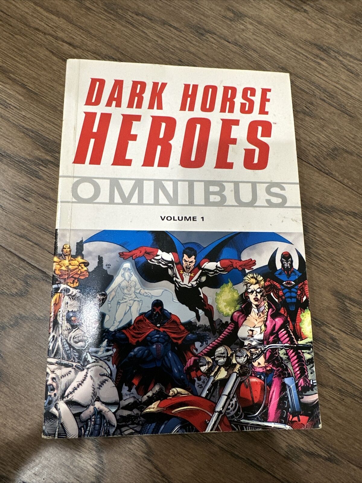 Dark Horse Heroes Omnibus TPB #1 FN; Dark Horse | Adam Hughes - we combine shipp