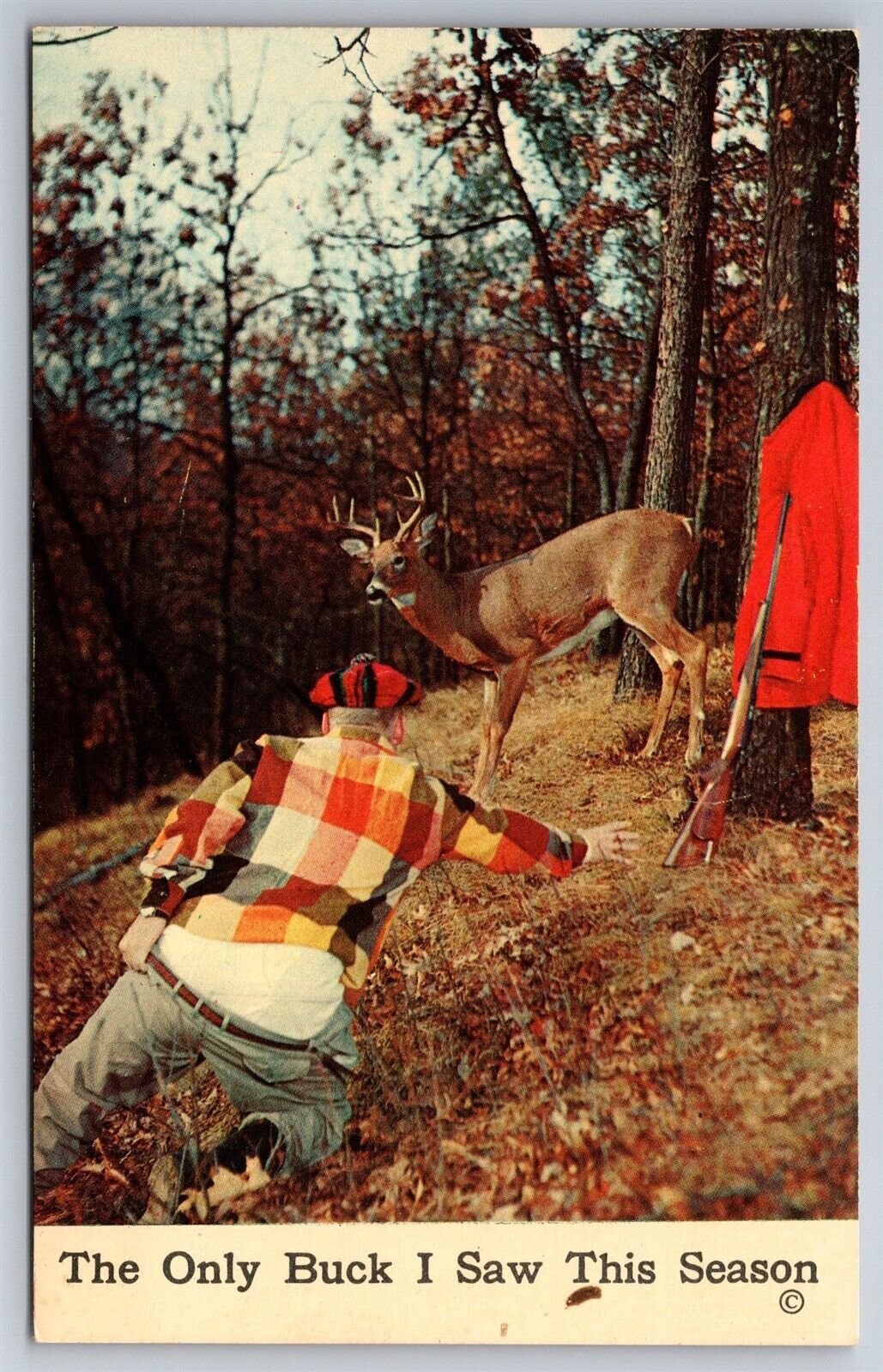 8 Point Buck Deer Hunter With His Pants Down Only Buck Seen 1956 Postcard S2