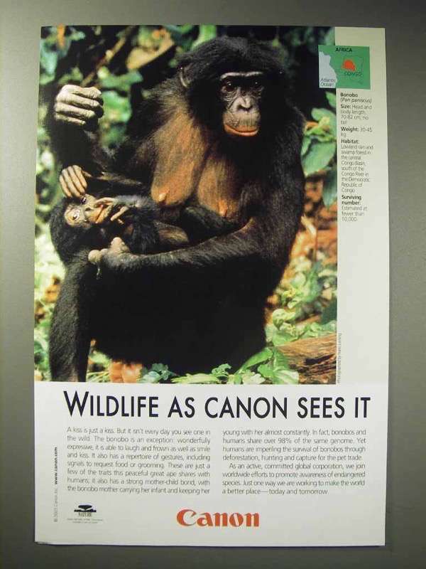 2003 Canon Ad - Bonobo