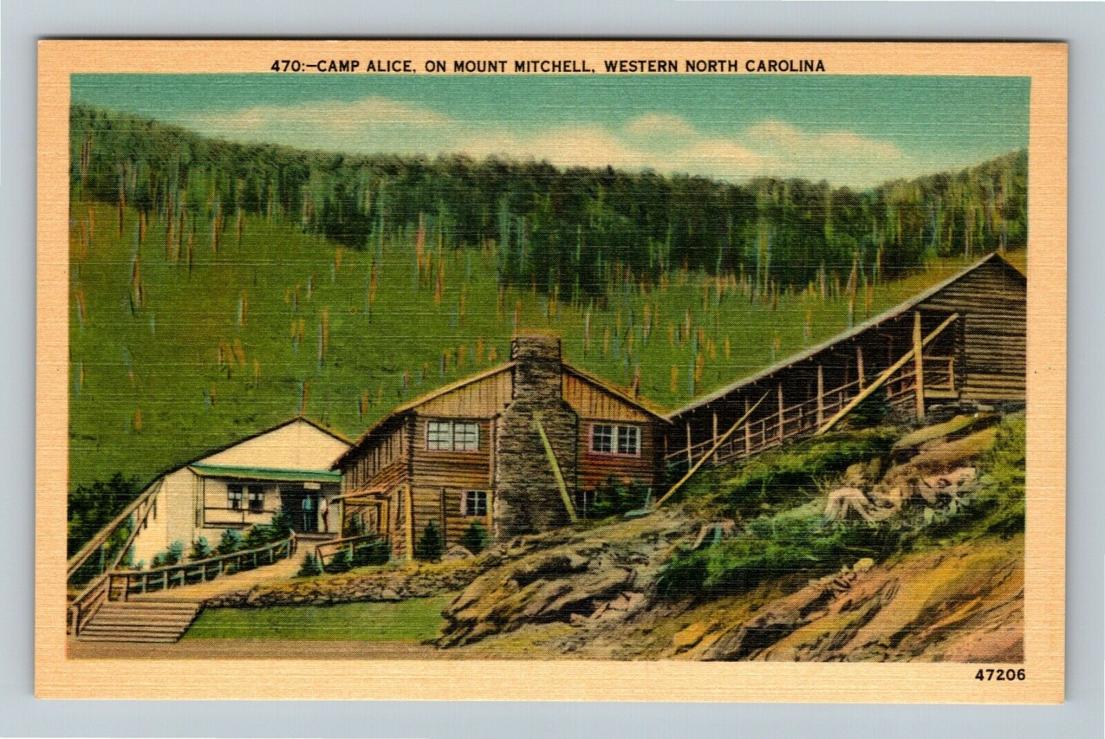 NC-North Carolina, Camp Alice and Cabin Mount Mitchell, Vintage Linen Postcard
