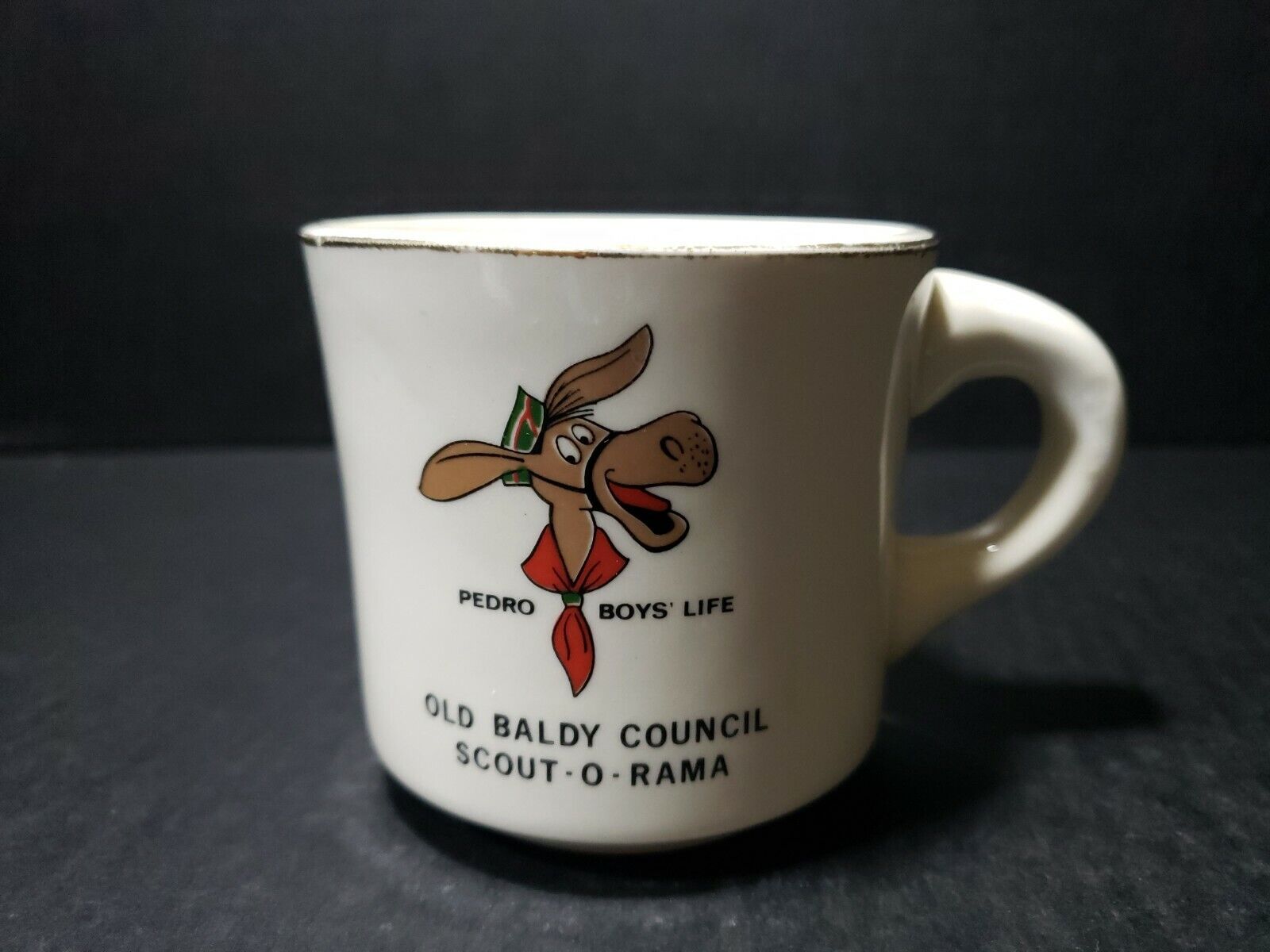  Scout O Rama Council 1950-60s Vintage Coffee Mug USA, Pedro Boys Life 