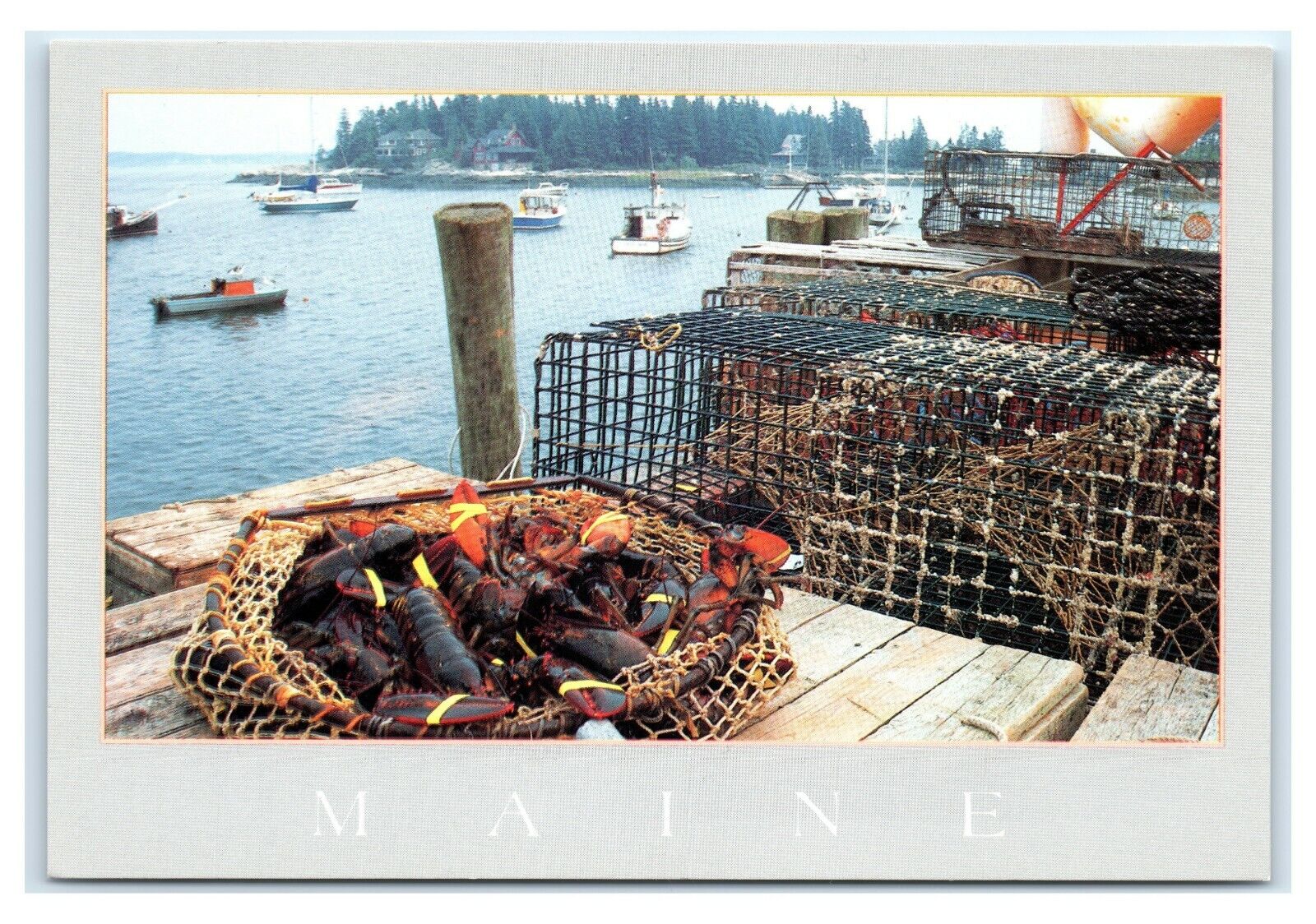 Postcard Lobster Ready for Market, Five Islands, Maine ME gray trim K13