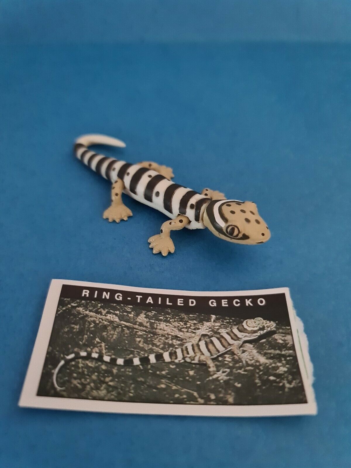 Yowies 🧸 RING-TAILED GECKO - with Papers 🧸 FAST POST