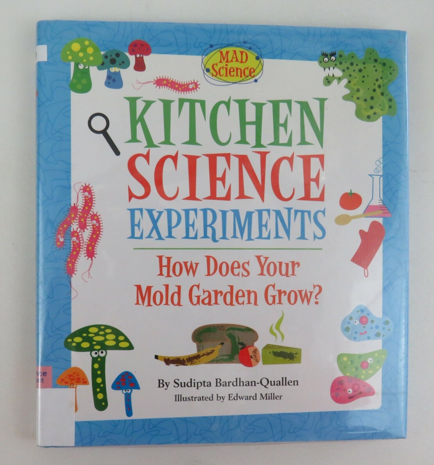 Kitchen Science Experiments How Does Your Mold Garden Grow? Homeschooling