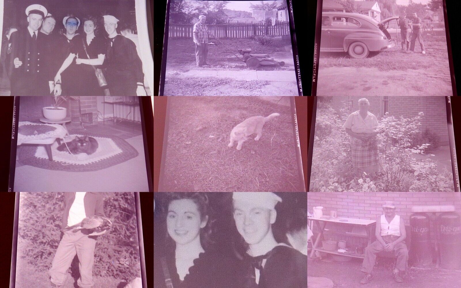  1940s  Michigan  ORIGINAL OOAK NEGATIVE LOT Detroit  Family Parties, Cats, WWII