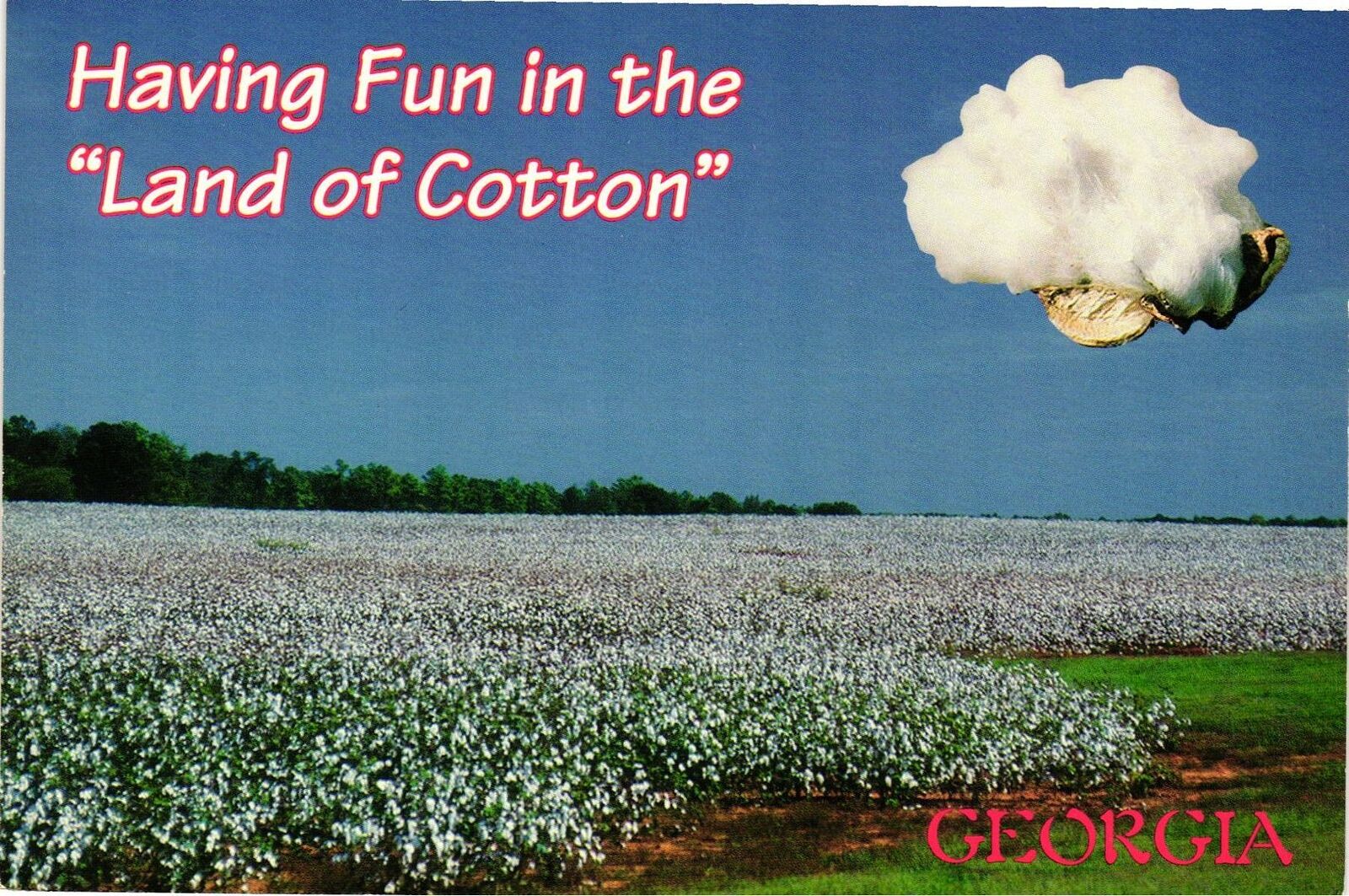 Vintage Postcard 4x6- Land of Cotton, Georgia.