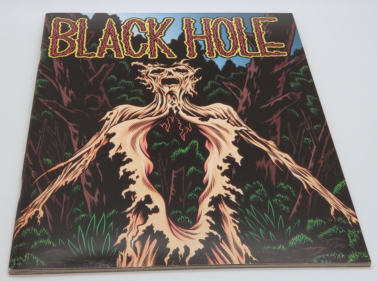 Black Hole Charles Burns Issue # 1 Kitchen Sink Press Comic Book 2nd Printing