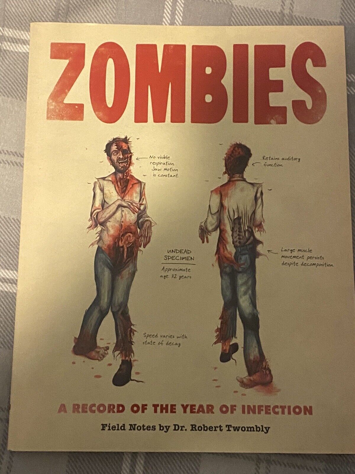 Zombies  A Record of the Year of Infection