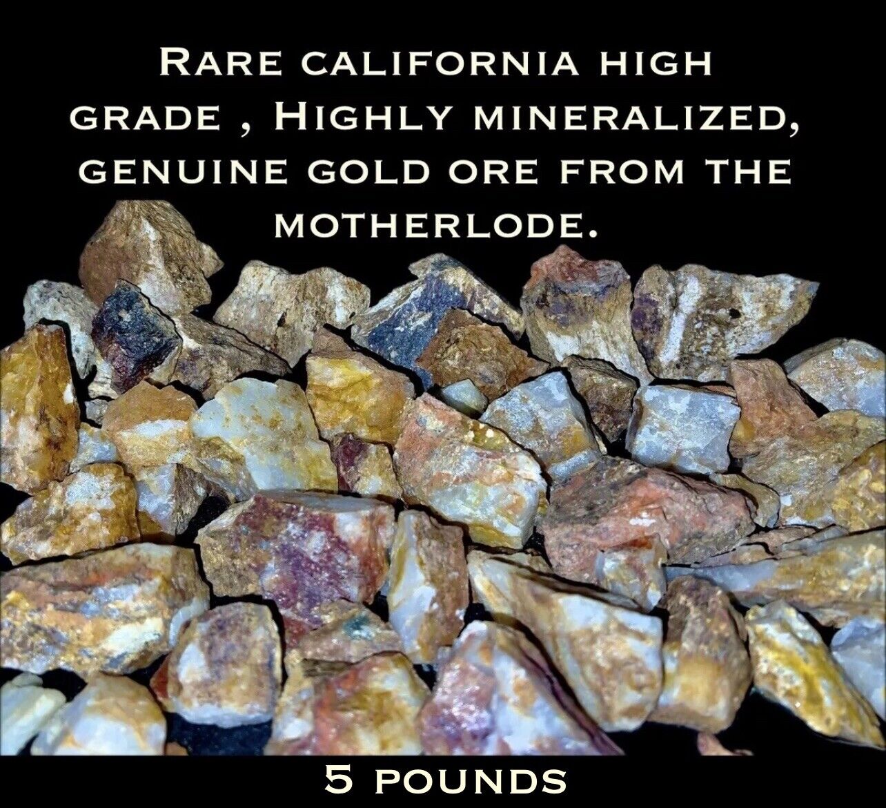 5 Lb HIGH GRADE HIGHLY MINERALIZED GOLD ORE W/VISIBLE GOLD FROM THE MOTHERLODE