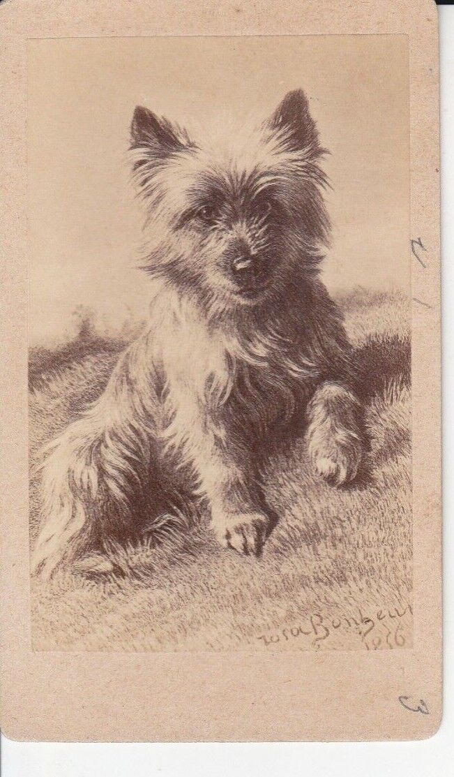 EXTREMELY RARE ANTIQUE 1856 ORIGINAL GERMANY DOG CDV PHOTO NO.1