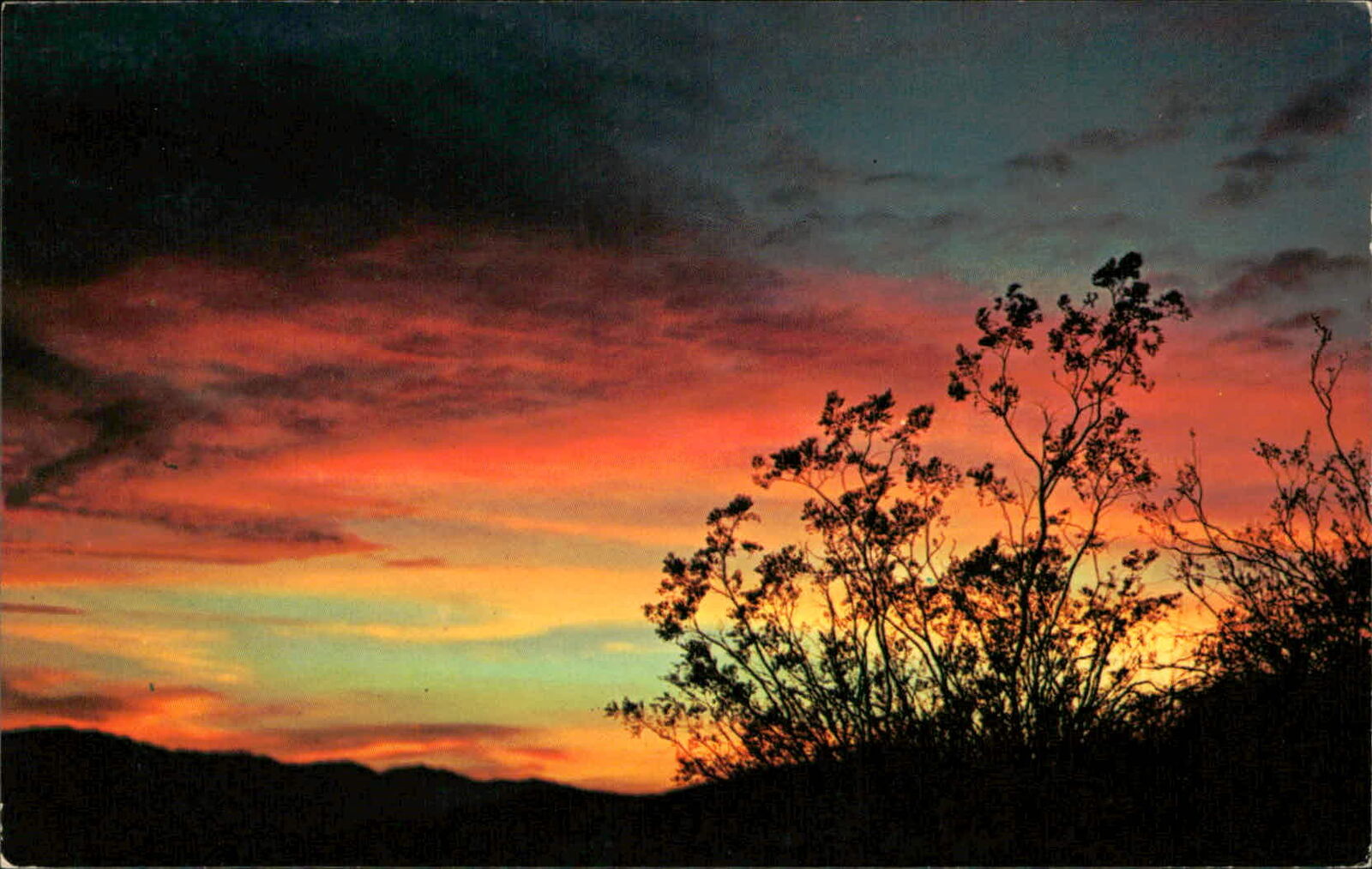 Postcard:  Spectacular Sunrises and Creosote Bushes