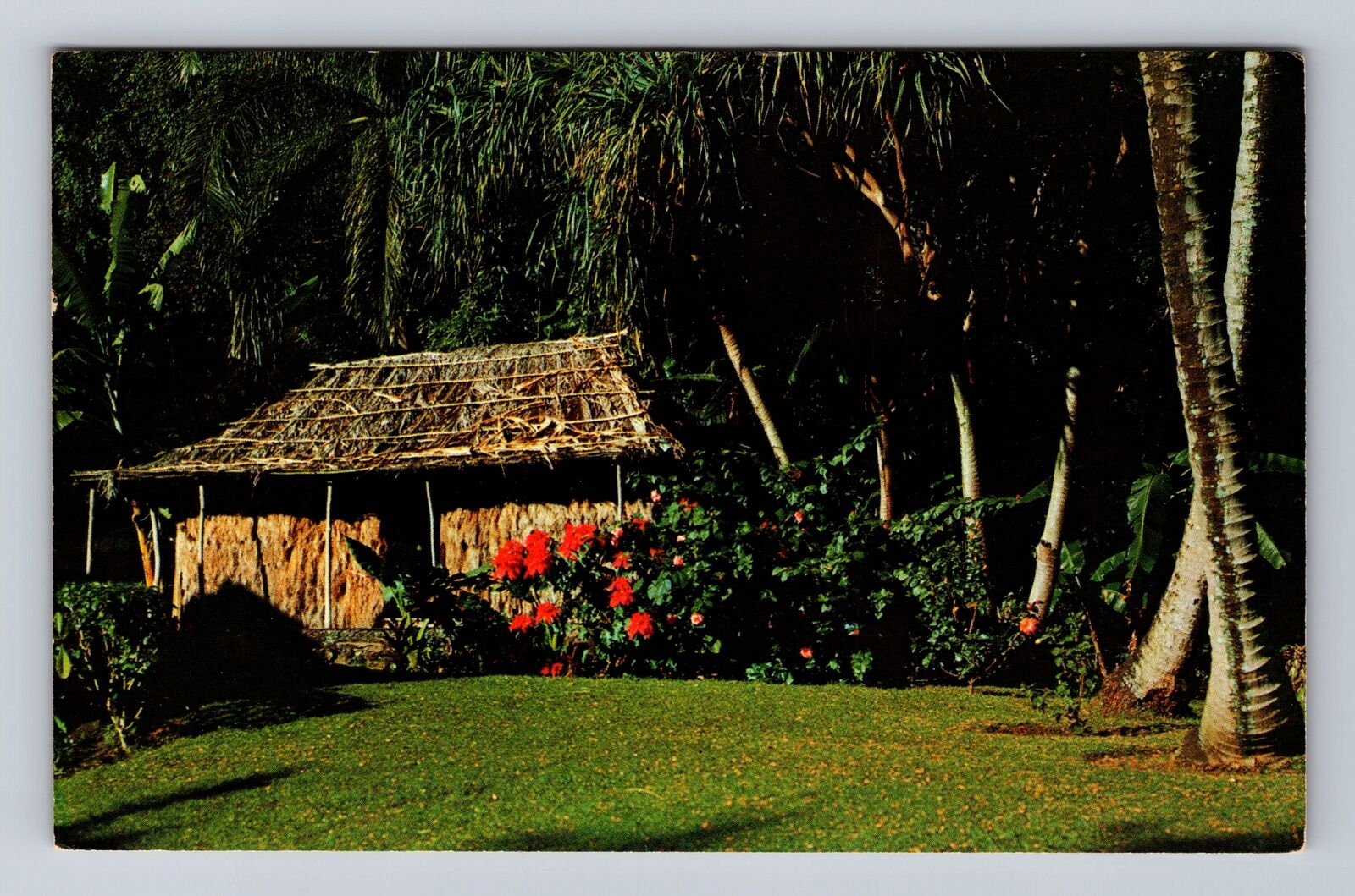 Honolulu HI-Hawaii, Grass Shack, Waioli Tea Room, Antique Vintage Postcard