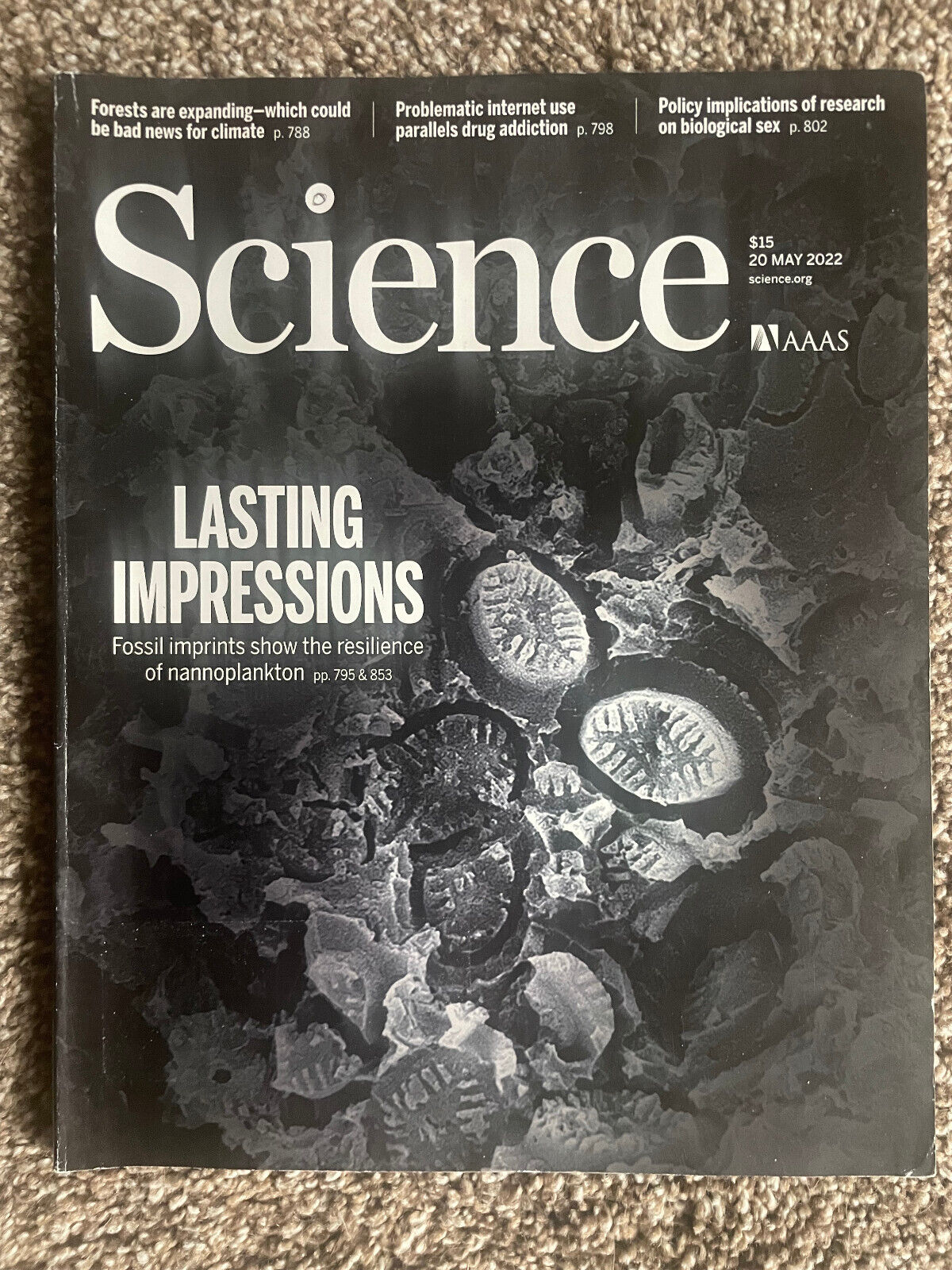SCIENCE Magazine May 20 2022 Fossil Imprints Nannoplankton Internet Addiction