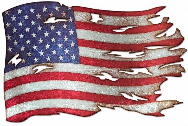 Tattered American Flag Plasma 19\