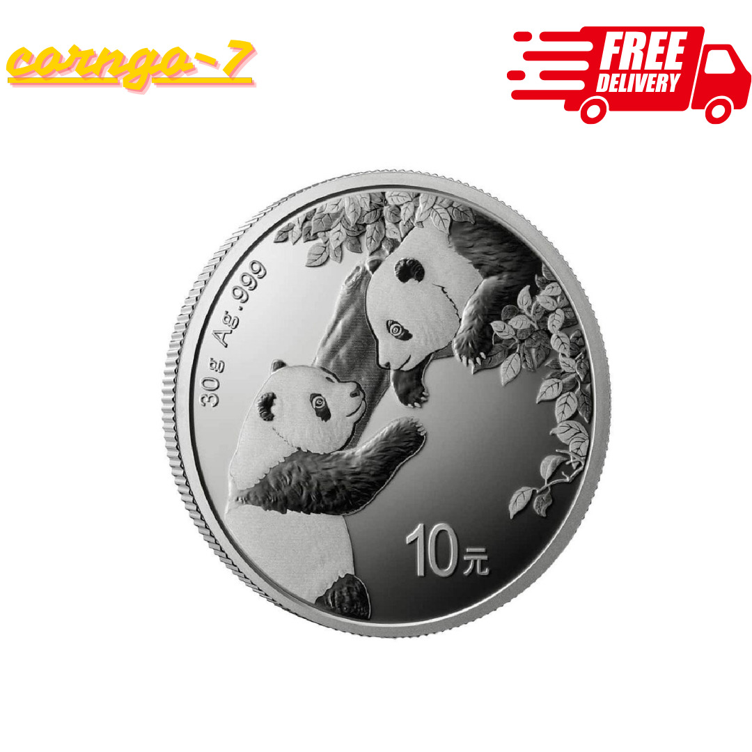 2023 China 30-gm Silver Panda Brilliant Uncirculated - 2023 - COIN