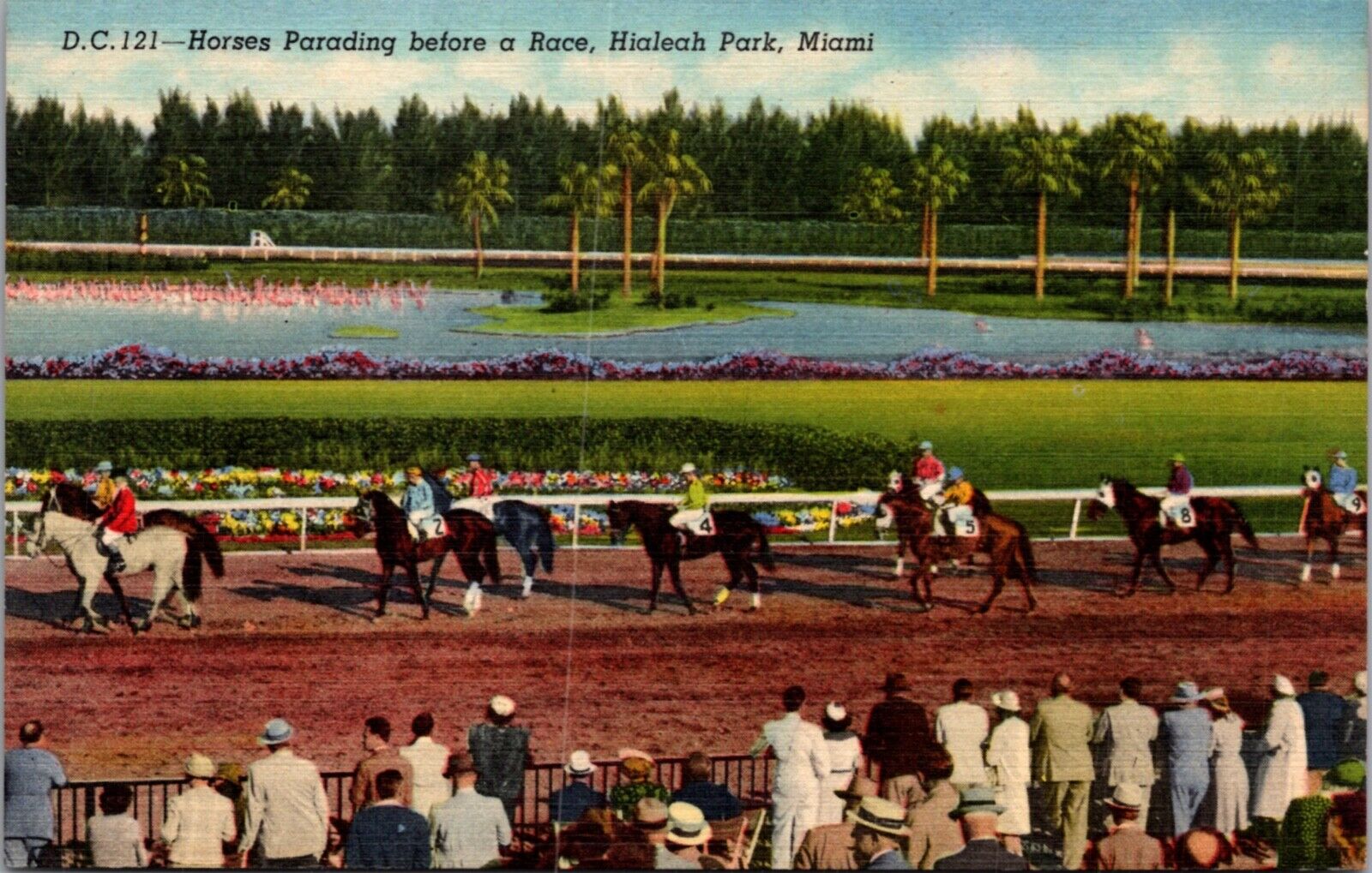 Linen PC Horses Parading Before Race Hialeah Park Miami Florida Horse Race Track