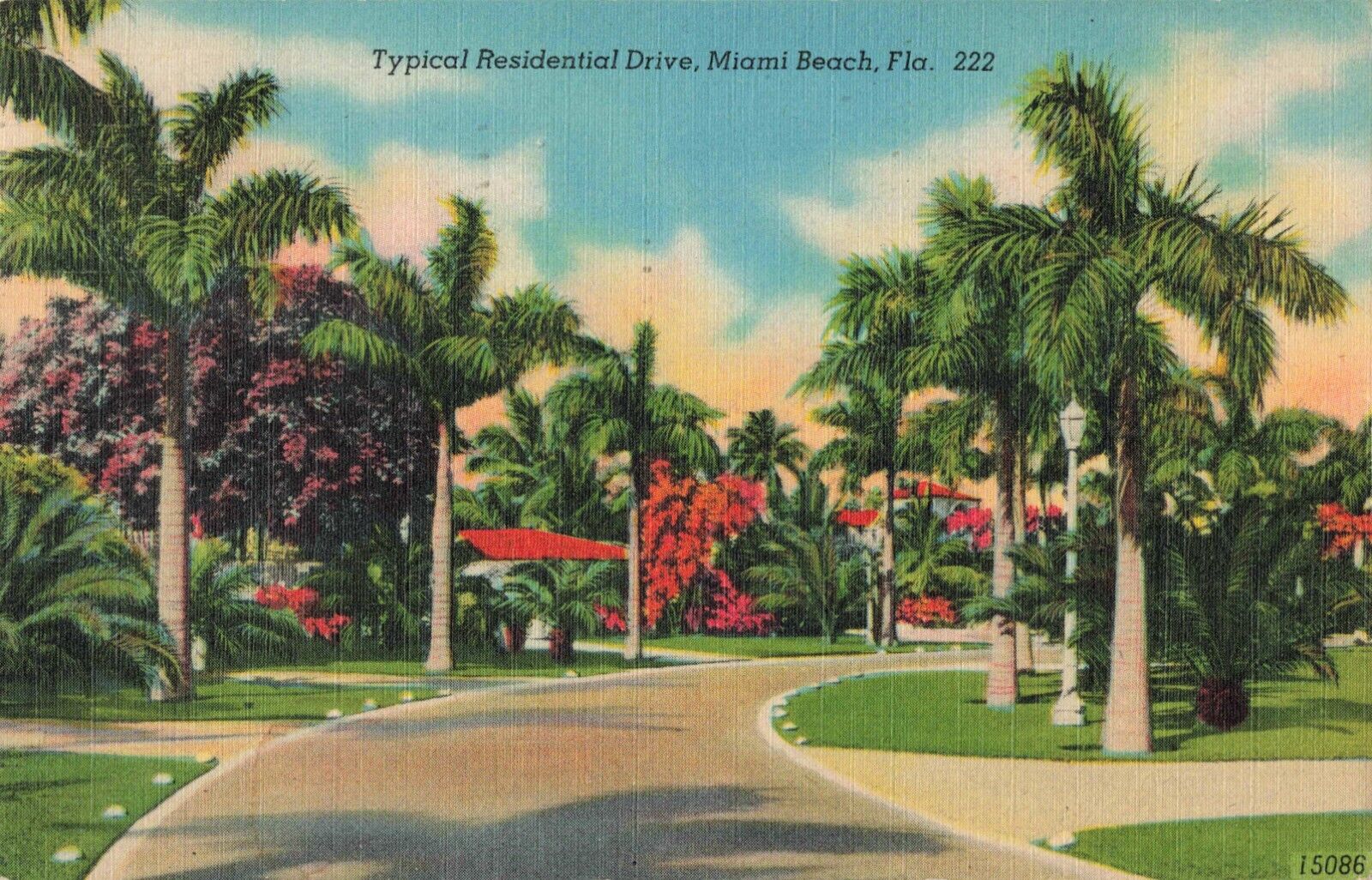 Miami Beach FL Florida, Typical Palm Lined Residential Drive, Vintage Postcard