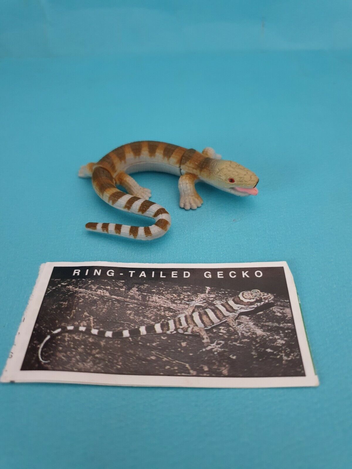 Yowies 🧸RING-TAILED GECKO - with Papers 🧸FAST POST