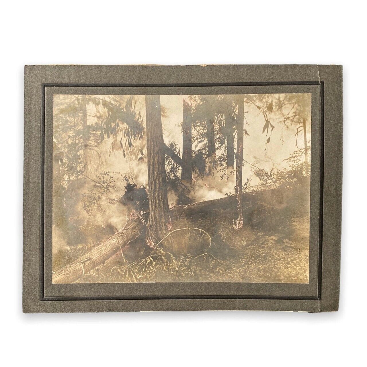 Forest Fire Hand Colored Flames Landscape - Antique Cabinet Card Vintage Photo 