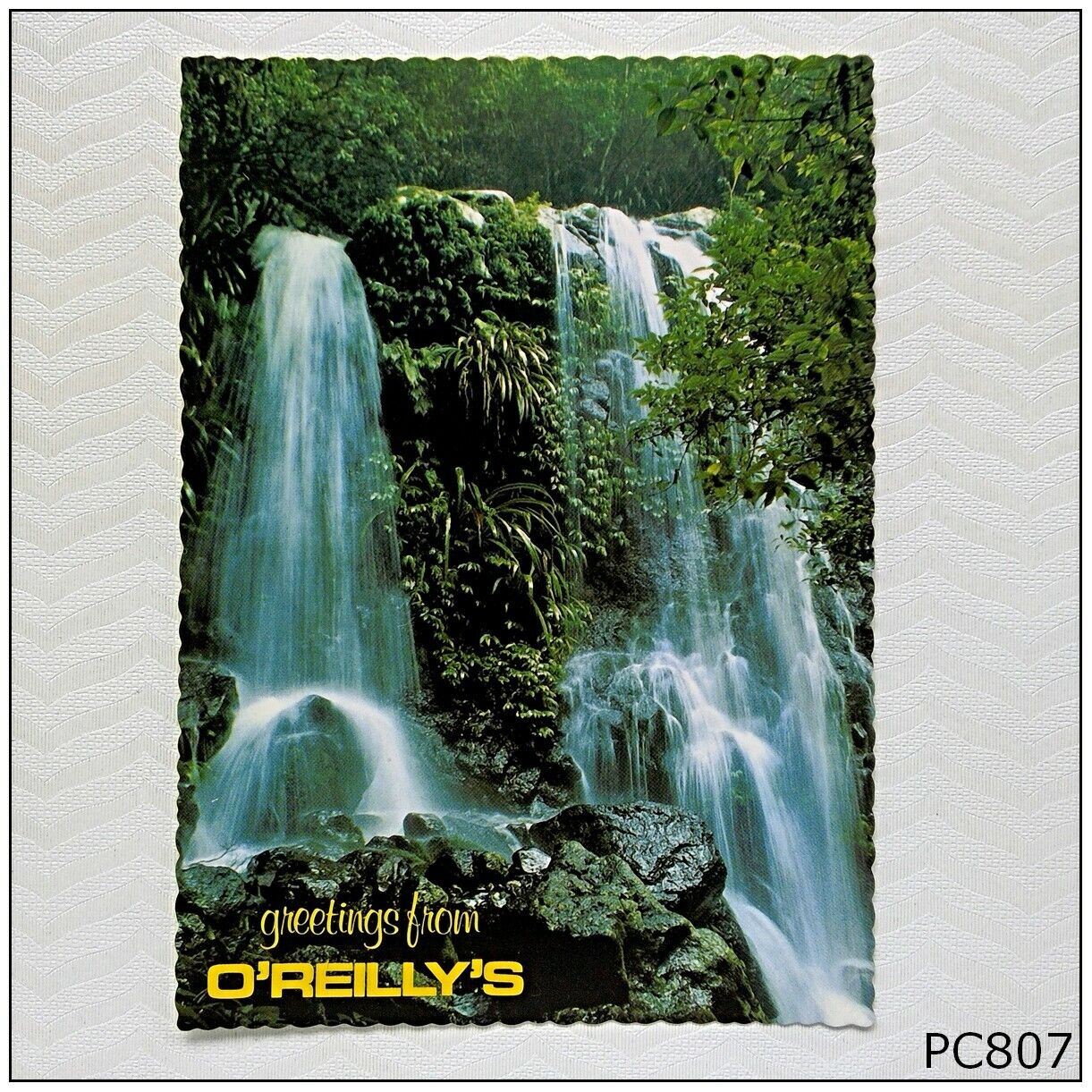 O\'Reilly\'s Mountain Resort Chalahn Falls Tooloona Creek NCV Postcard (P807)