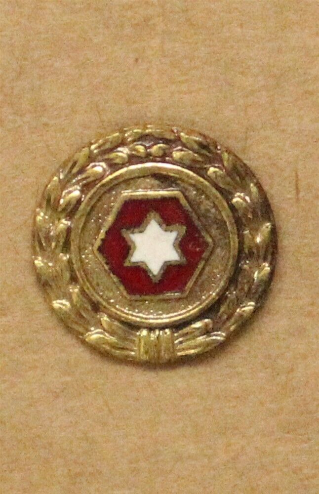 6th Army (old style) Veteran's Lapel Pin (3039)