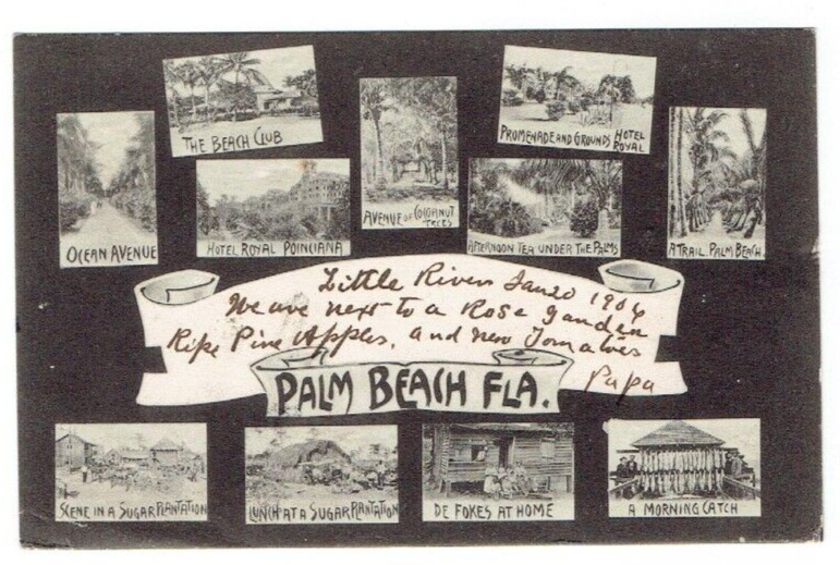 Antique Early Multi View Palm Beach Florida FL Postcard Posted 1906 Undivided