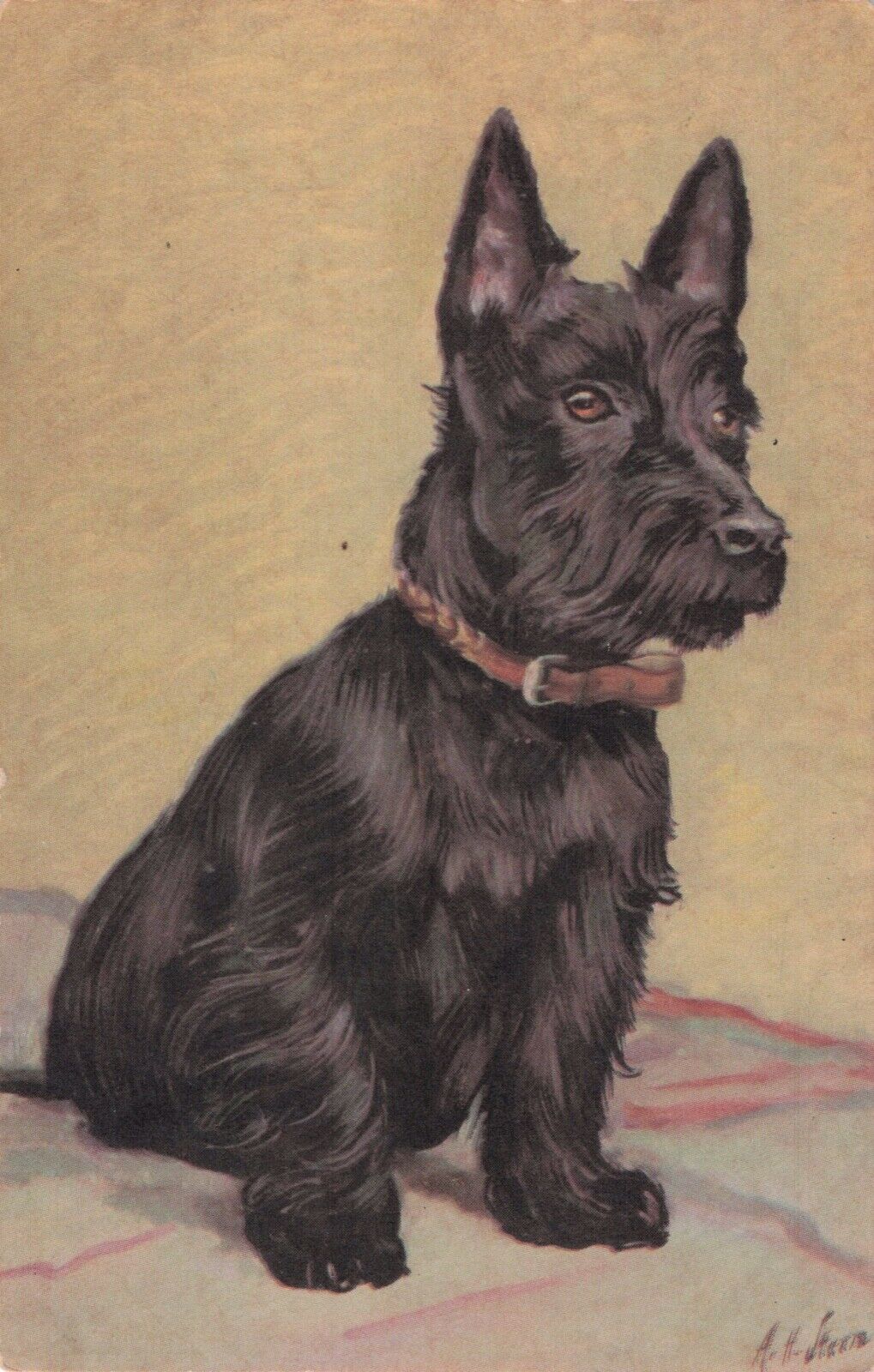Artist Signed  Seated Scottish Terrier Scottie Dog Vintage Postcard