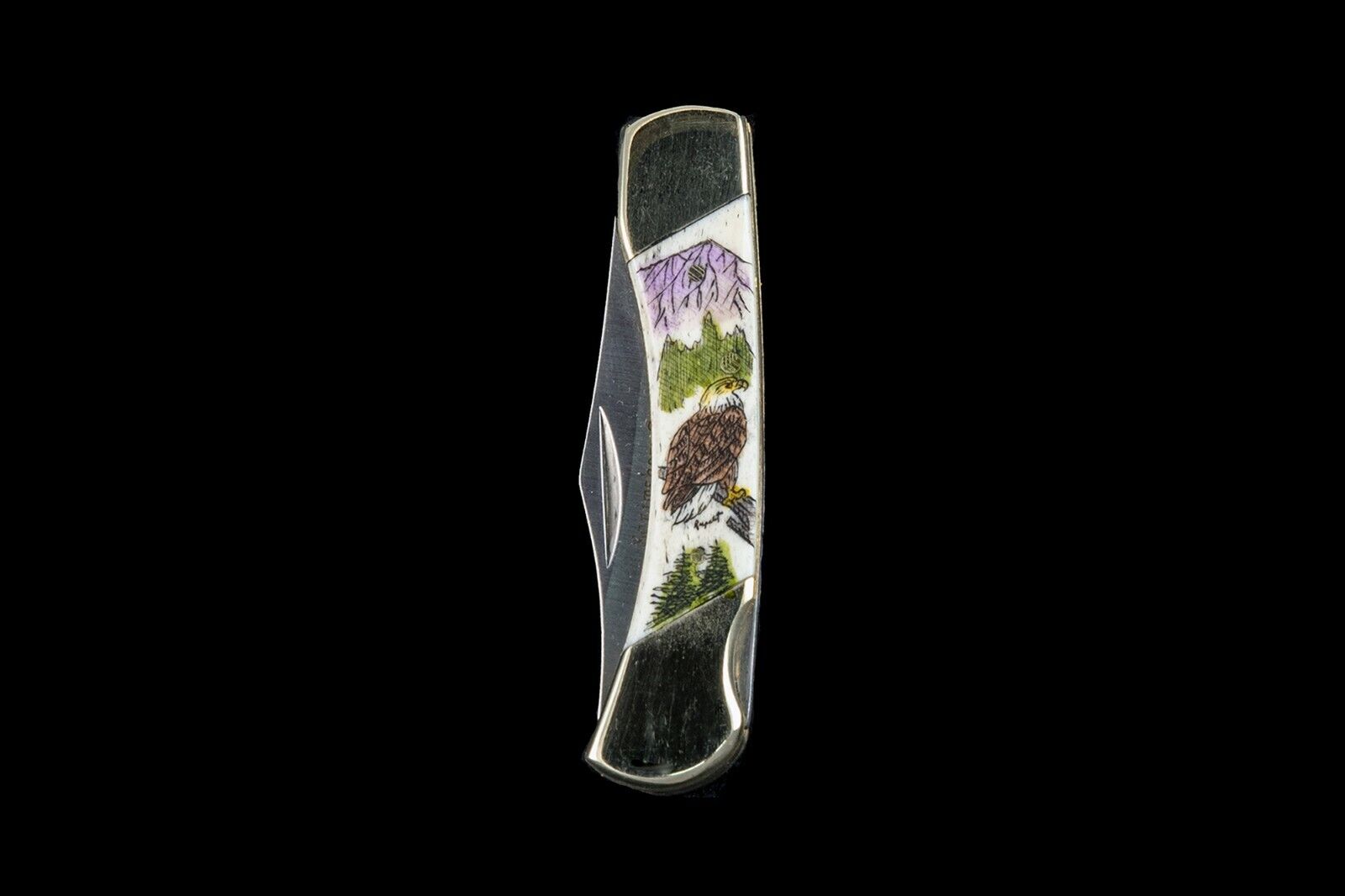 Etched Bald Eagle Colored Design Scrimshaw Collection Medium Pocket Knife 