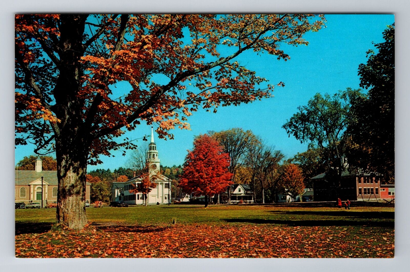 VT-Vermont, Village Common In All Its Autumn Splendor, Antique Vintage Postcard