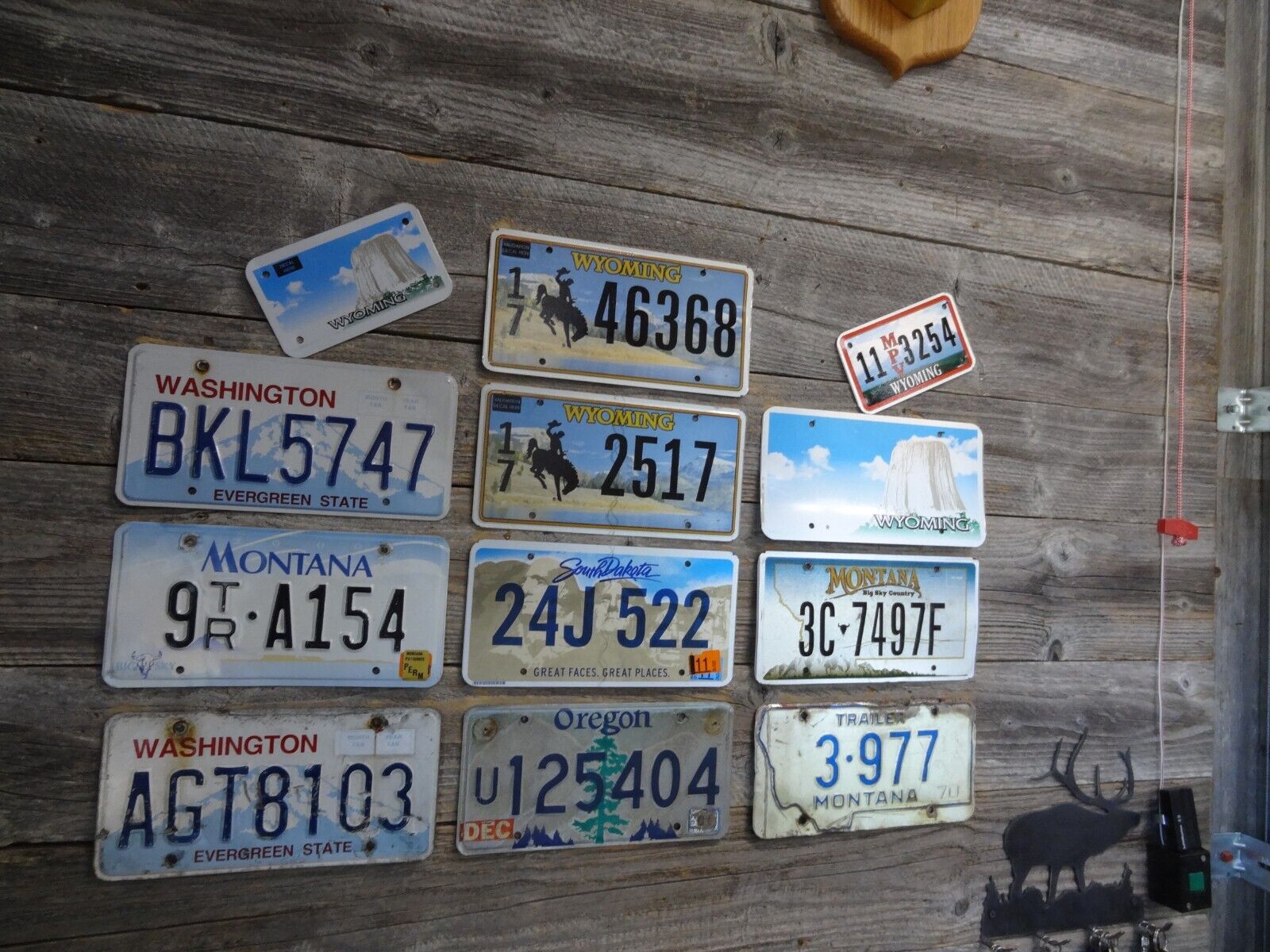 Craft Road Kill License Plates 12 License Plates with damage great for crafts