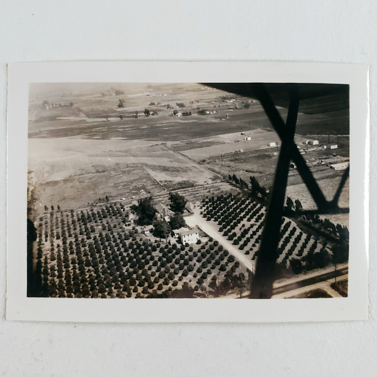 Westminster California Ranch Aerial Photo 1940s Airplane Vintage Snapshot A1495