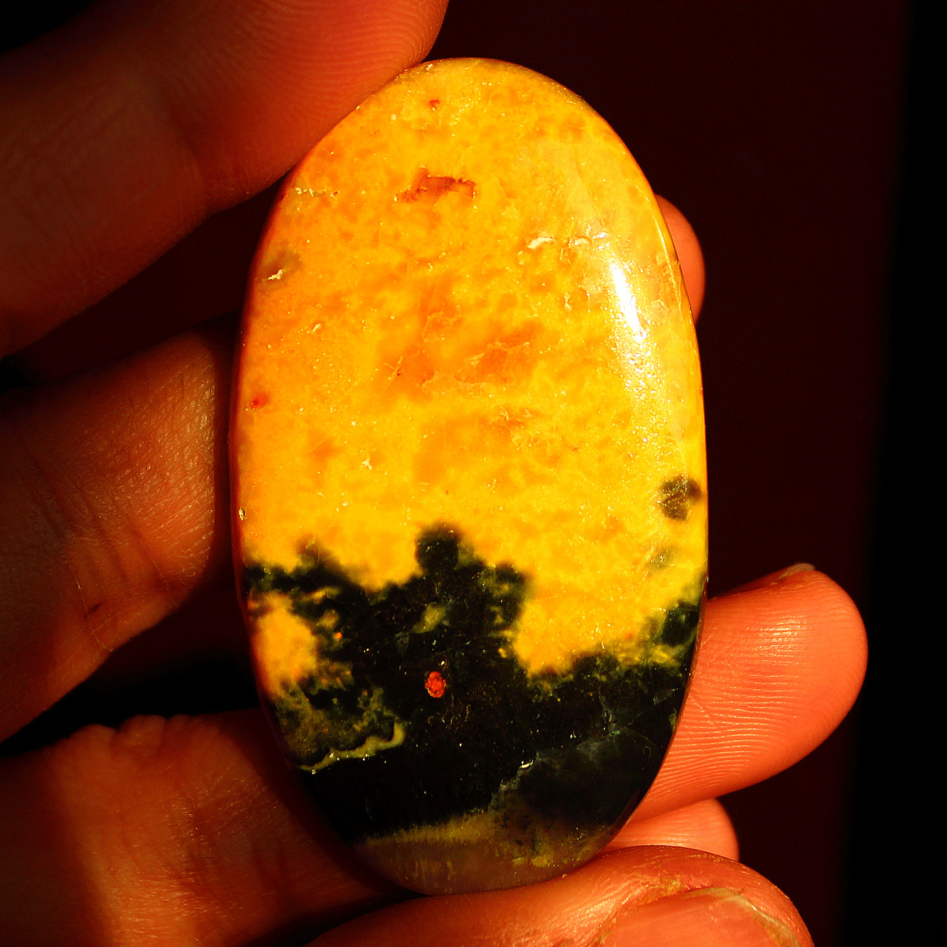 22.4g Natural Bumble Bee Jasper Collectible Crystal Palmstone Mineral Specimen