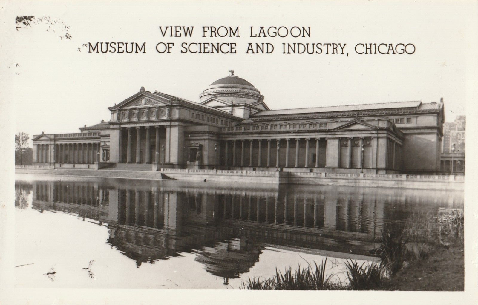 Vintage Postcard View From Lagoon Museum of Science & Industry Chicago, Illinois