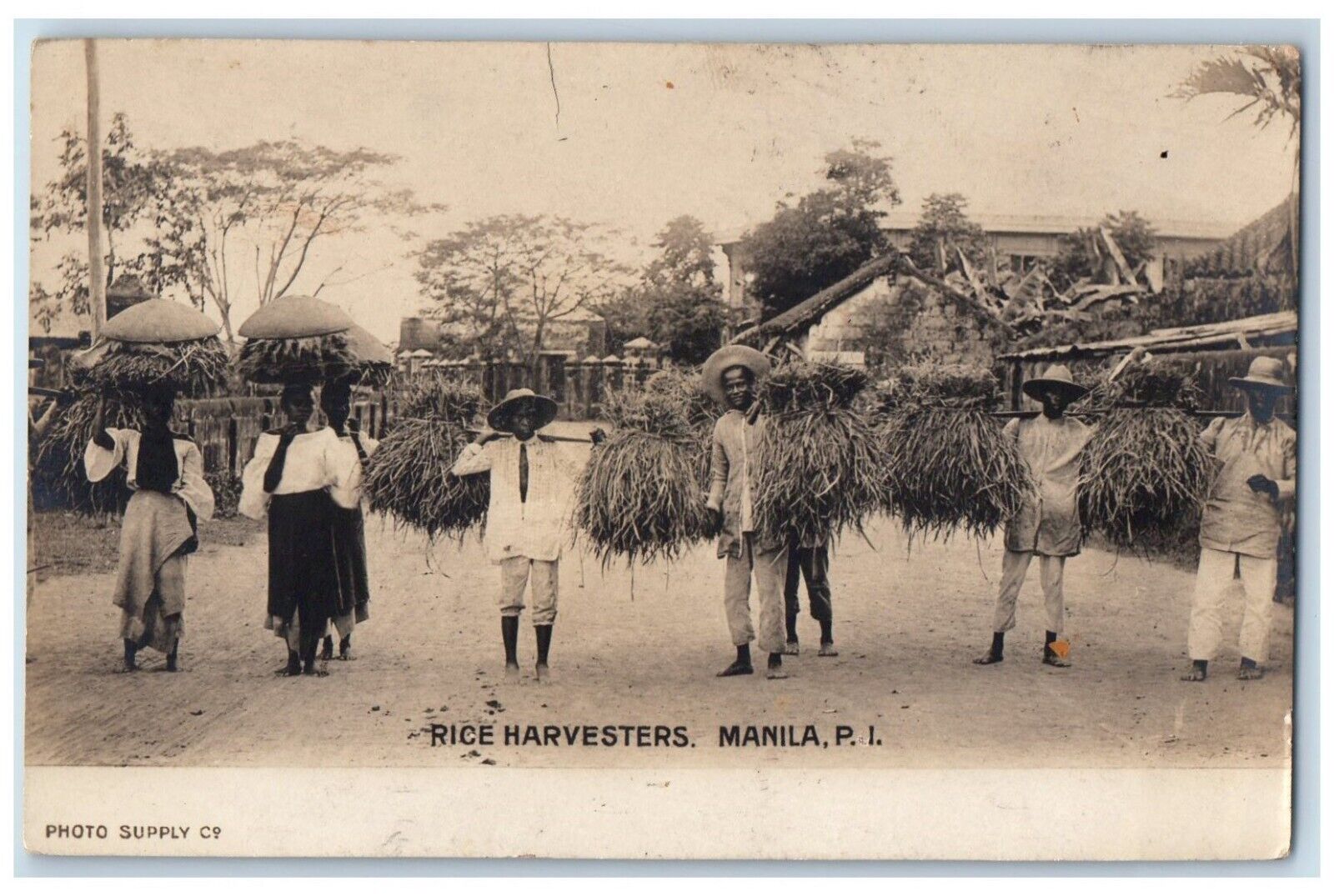 c1910\'s Rice Harvesters Farmers Manila Philippines RPPC Photo Postcard