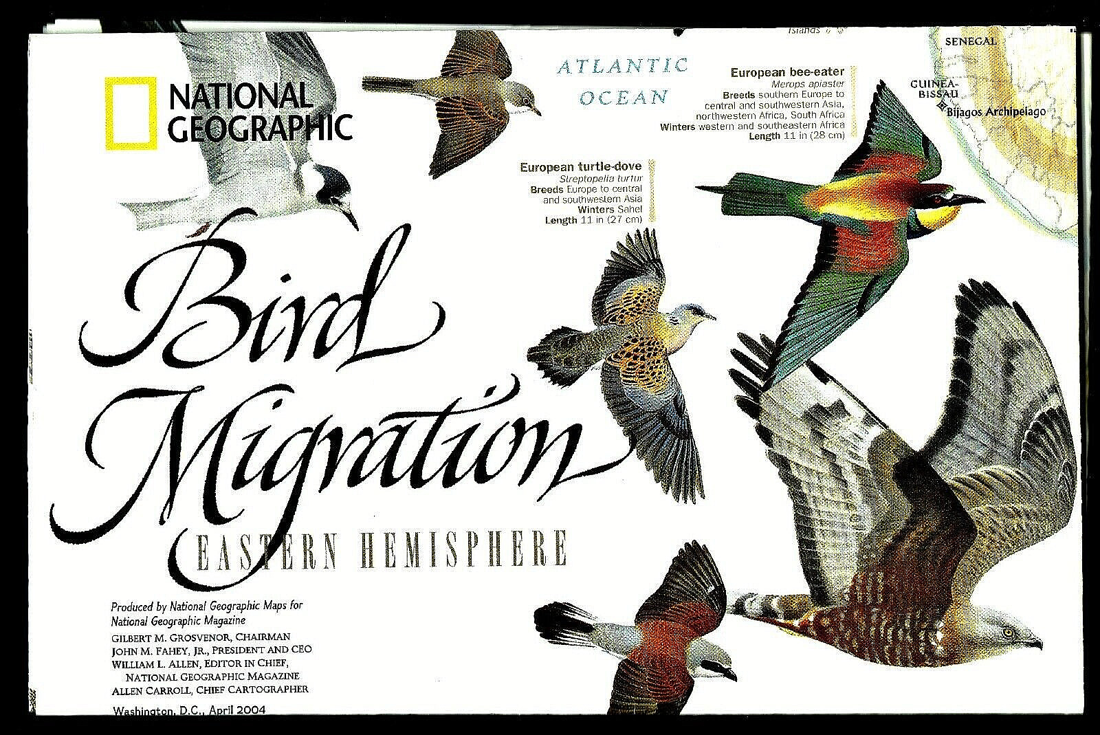 2004-4 April National Geographic Map BIRD MIGRATION EAST & WEST HEMISPHERE -B(A)