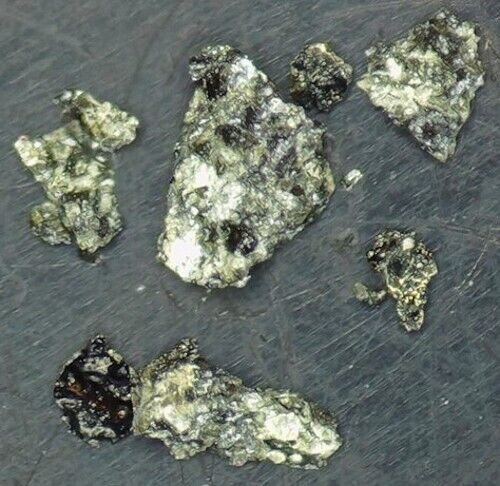 NWA 12594 MARTIAN Shegottite Meteorite ~ 0.011 grams Fragments ~ Planet Mars