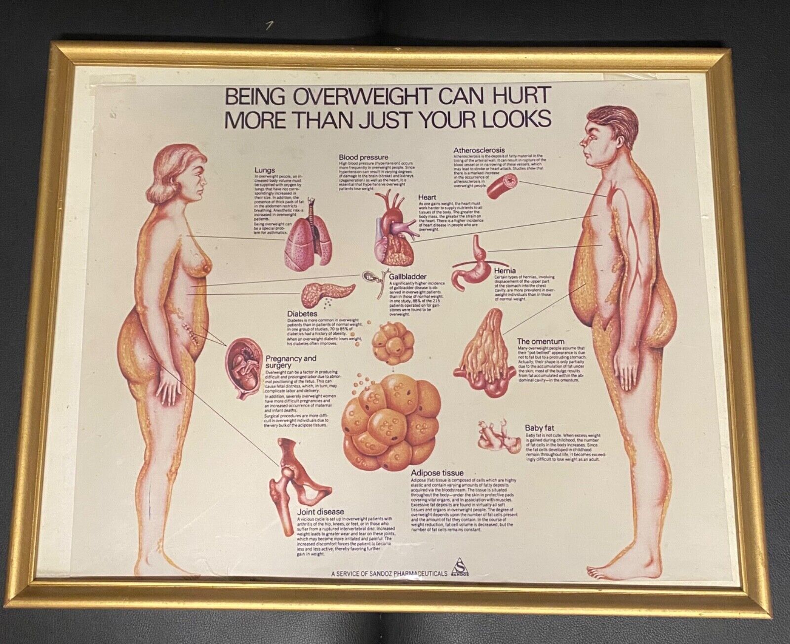 vintage obesity health framed graphic potser odd unique weird