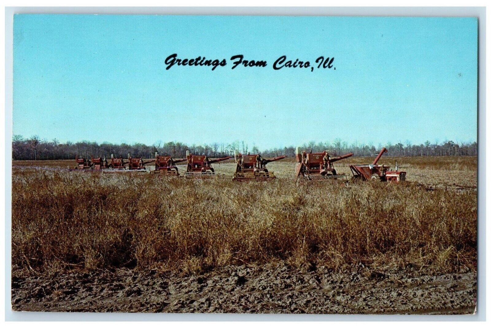 c1960 Greetings From Cairo Soy Bean Harvest Crop Farm Illinois Vintage Postcard