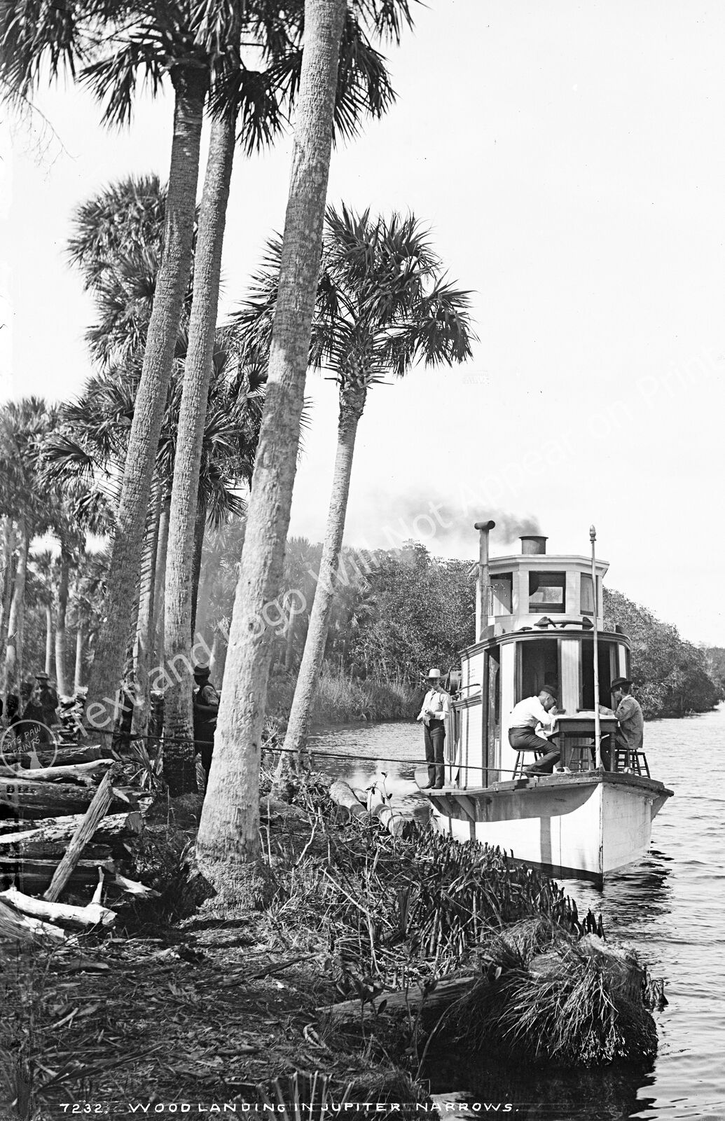 1880-1897 Wood Landing in Jupiter Narrows, Florida Old Photo 11\