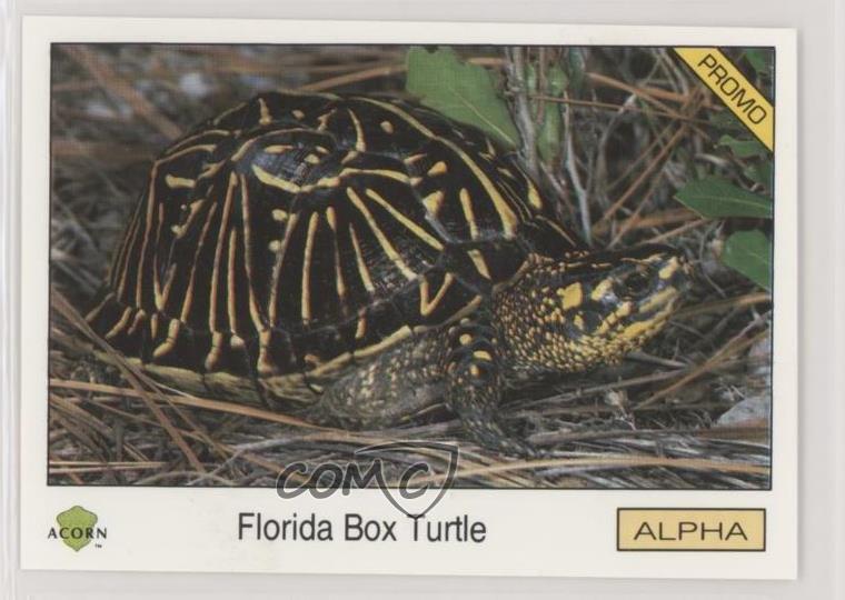 1991 Acorn Biosphere Promo Set Blue Back Florida Box Turtle #100 0kb5
