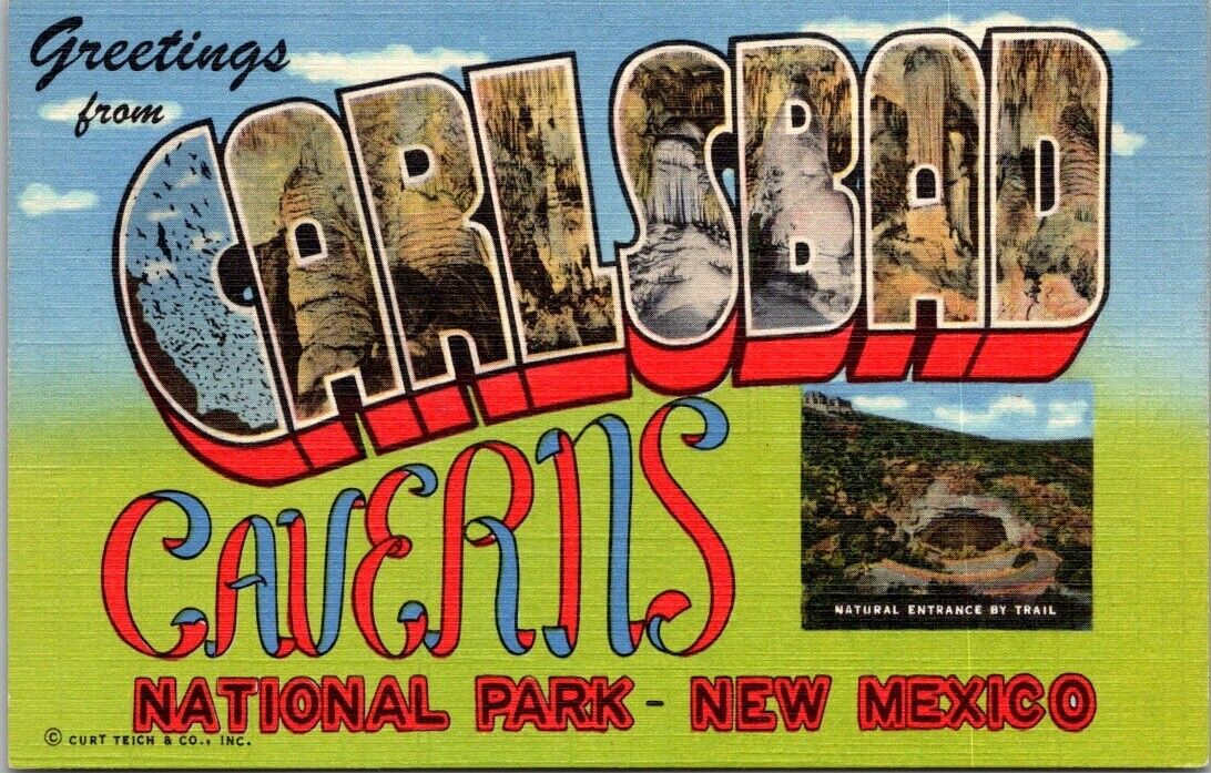 RARE Carlsbad New Mexico Greetings From Carlsbad Caverns National Park Postcard