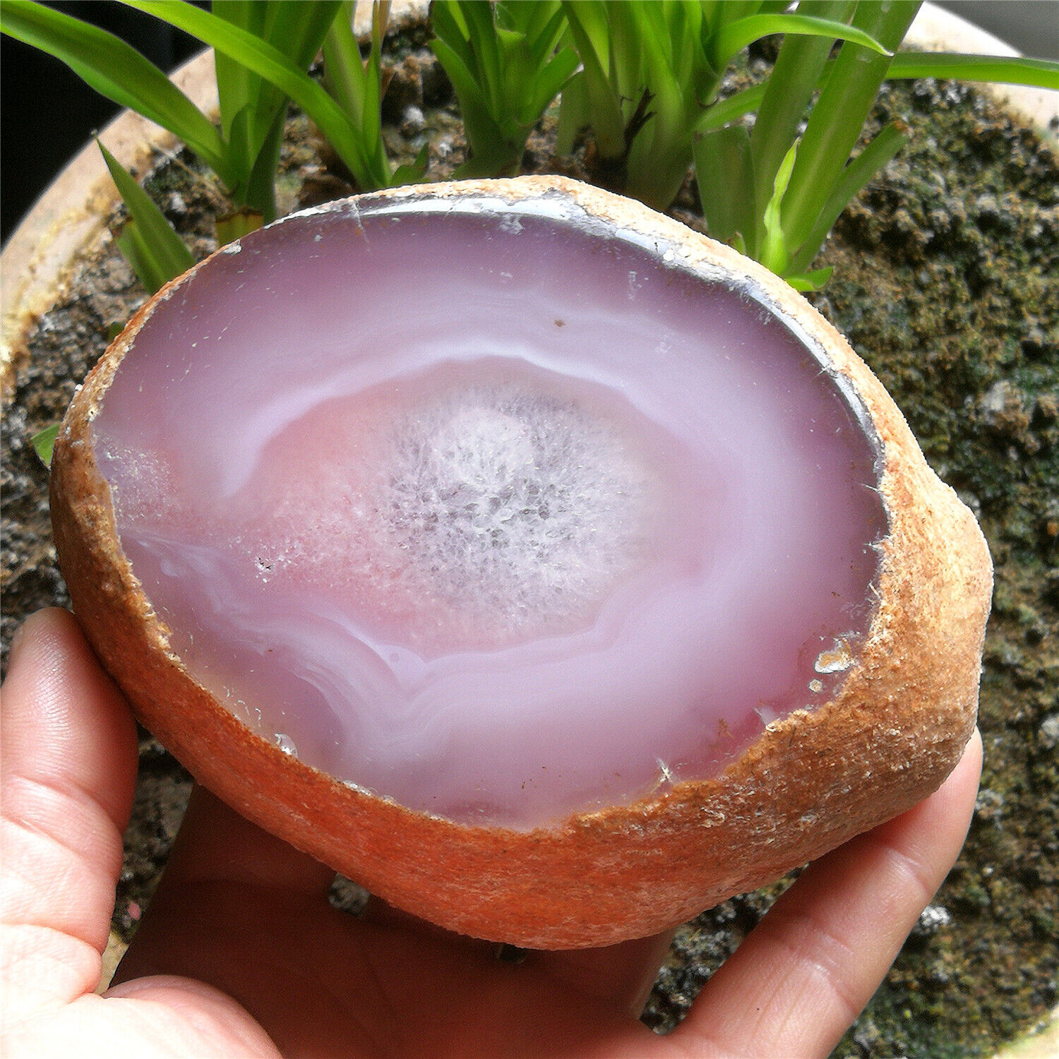 970g Pink Natural Big Moving Water Bubble Enhydro Agate Crystal Specimen Cut
