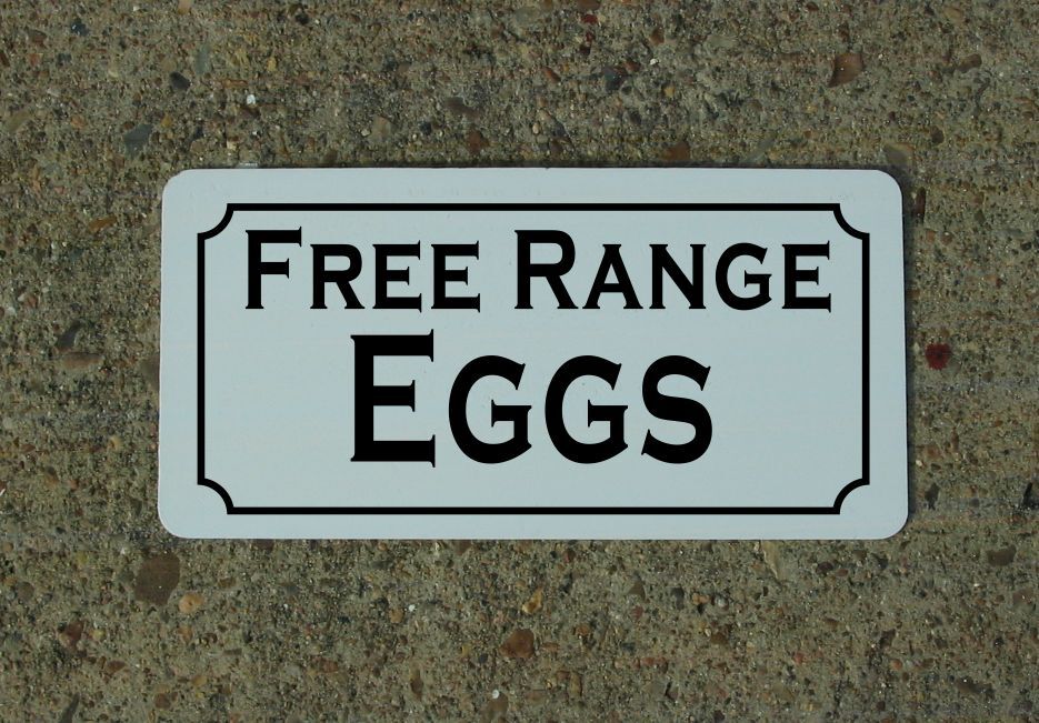 FREE RANGE EGGS Metal Signs 6\