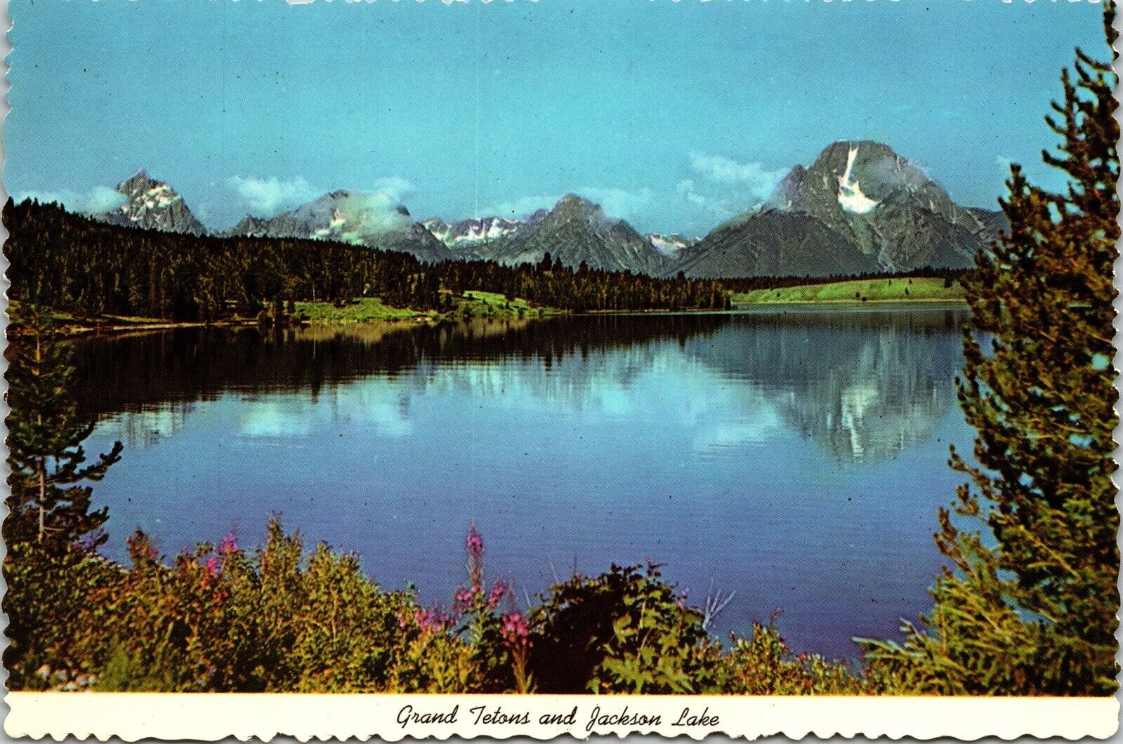 Grand Teton Jackson Lake National Park Landscape Nature Chrome Postcard UNP