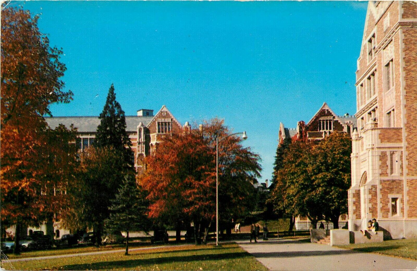 University of Washington Campus Missouri MO Smith Education Thompson Postcard
