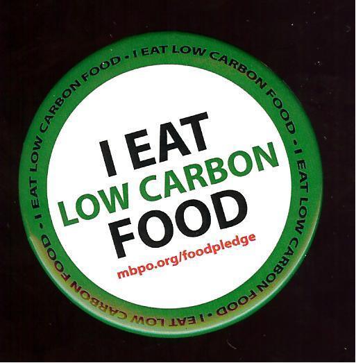 Eat LOW CARBON Food pin Global Warming CLIMATE CHANGE pinback Clean Green Energy
