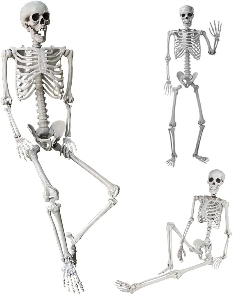 5.4Ft/165Cm Halloween Skeleton Full Body Life Size Human Bones with Movable Join